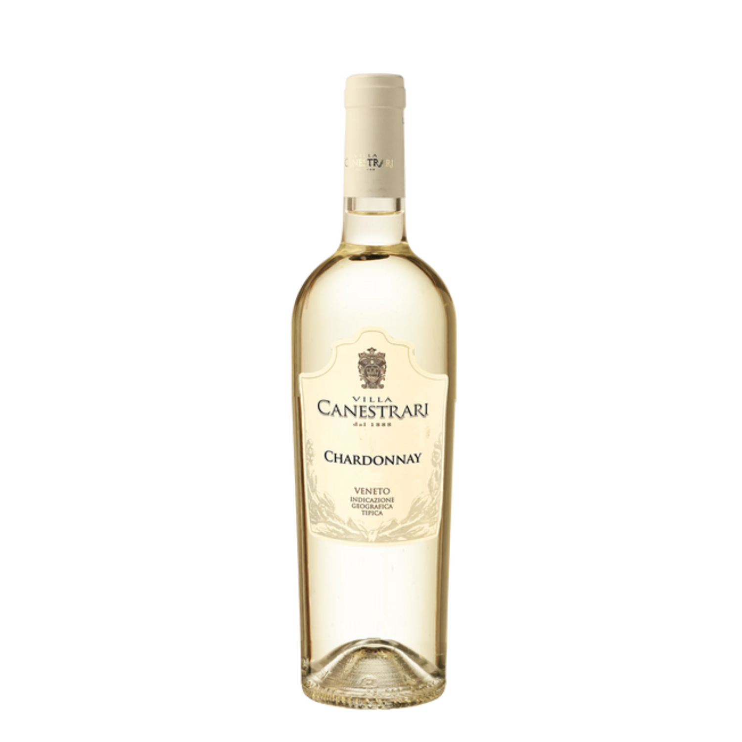 CHARDONNAY VENETO IGT - VILLA CANESTRARI