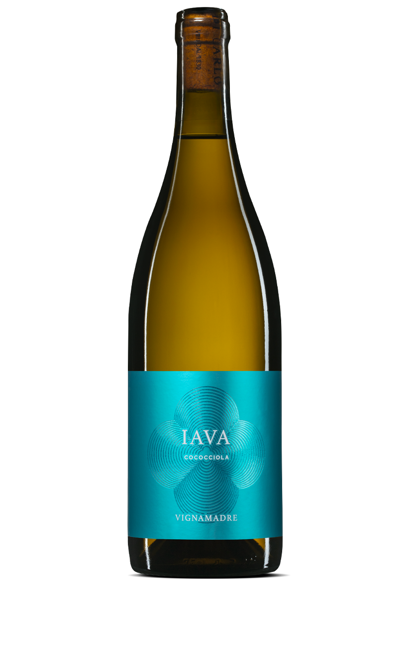 COCOCCIOLA IGP IAVA - VIGNA MADRE