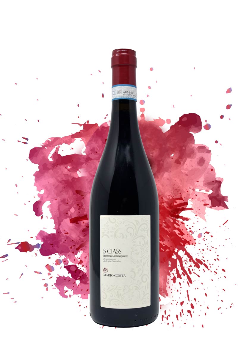 S-CIASS BARBERA D’ALBA SUPERIORE DOC - MARIO COSTA